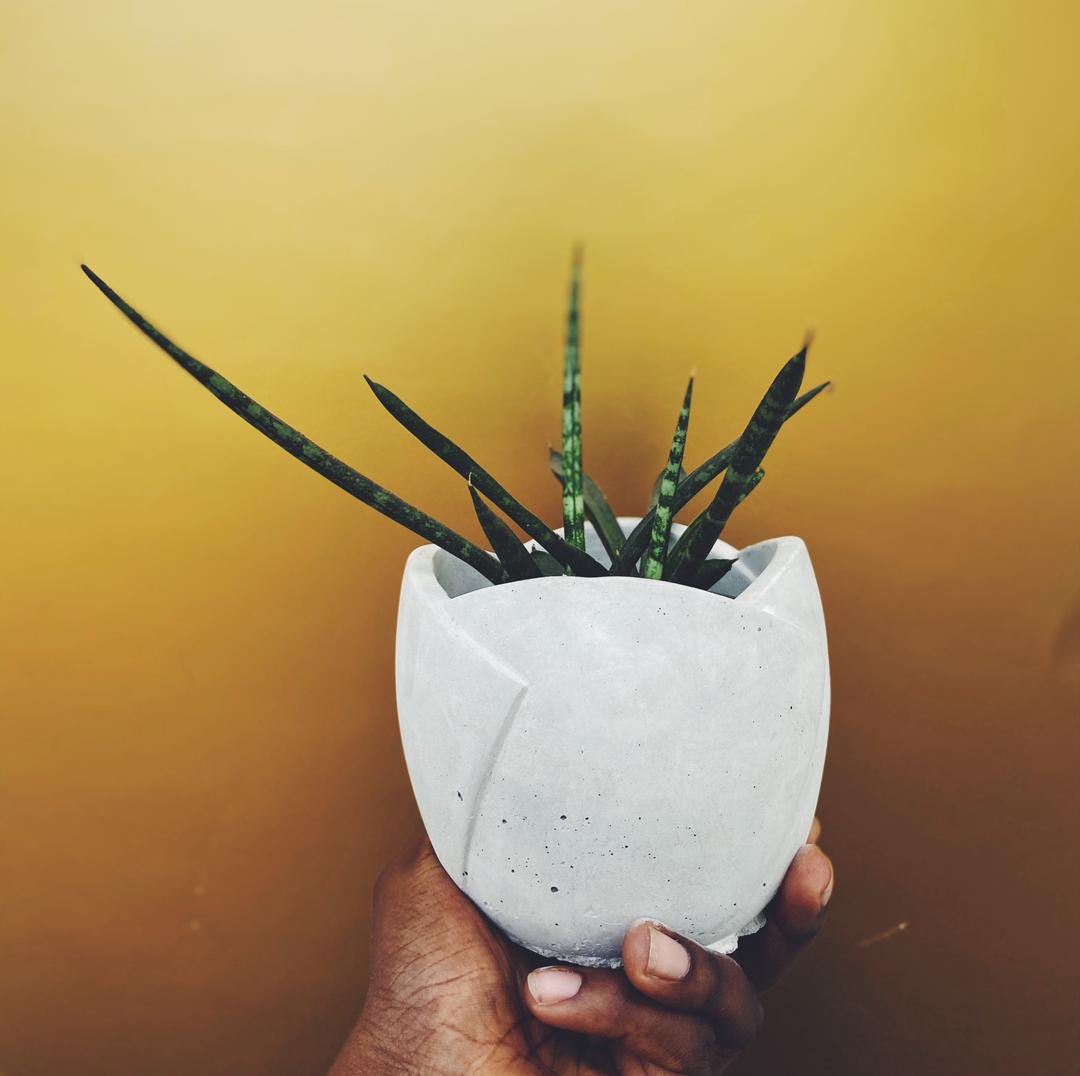 creteandco's tweet photo. L I V
She’s no plain Jane. 😊 She has the perfect size to fit a plant 🌸 or candle and looks amazing in any colour. DM us to order! 💁��♀️
#Creteandco #Concrete #ConcretePots #HandmadeConcrete #ConcreteDesign #ConcreteDecor #InteriorDesign #StatementPiece #WomenOwned #BlackOwned https://t.co/Q2BKKktx8n