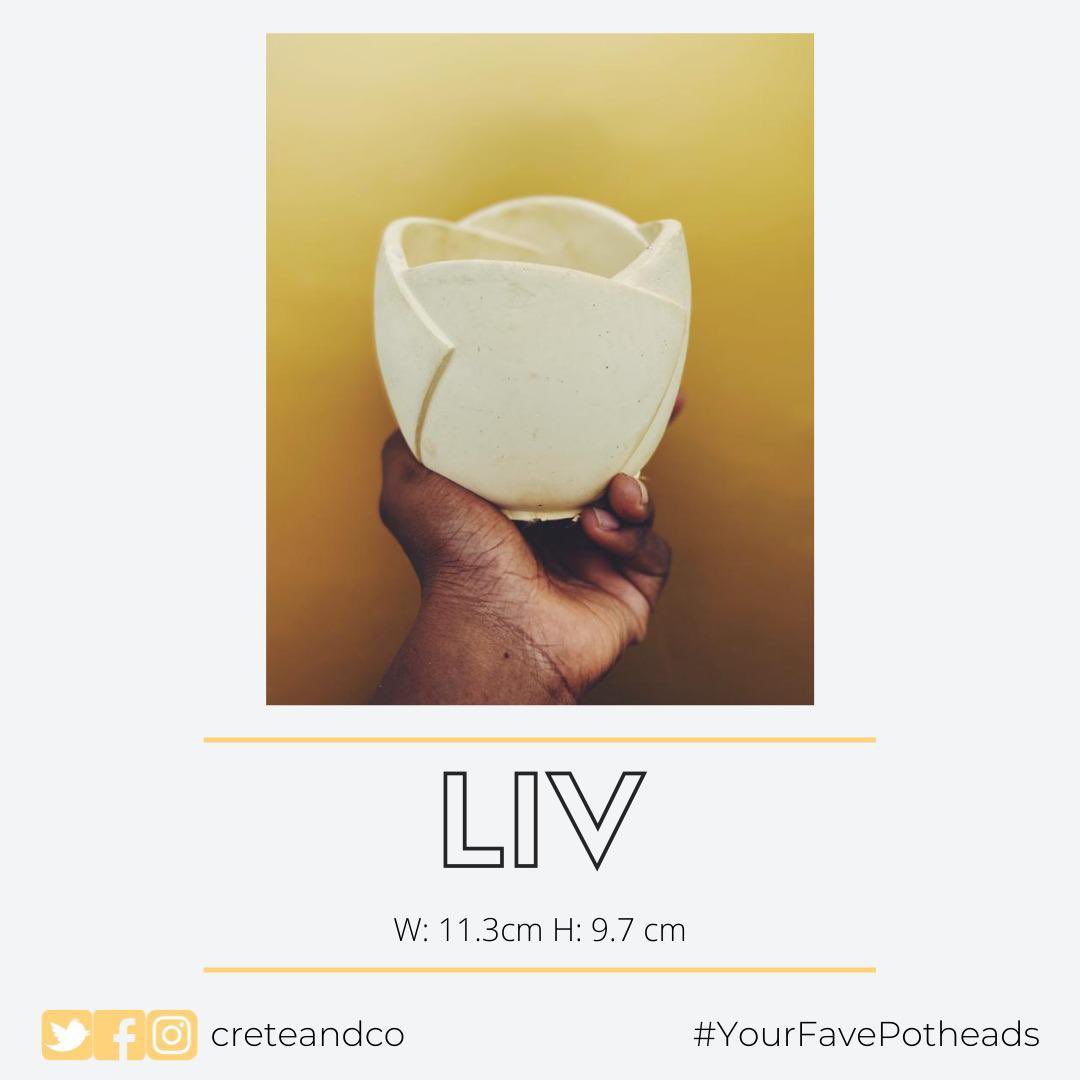creteandco's tweet photo. L I V
She’s no plain Jane. 😊 She has the perfect size to fit a plant 🌸 or candle and looks amazing in any colour. DM us to order! 💁��♀️
#Creteandco #Concrete #ConcretePots #HandmadeConcrete #ConcreteDesign #ConcreteDecor #InteriorDesign #StatementPiece #WomenOwned #BlackOwned https://t.co/Q2BKKktx8n
