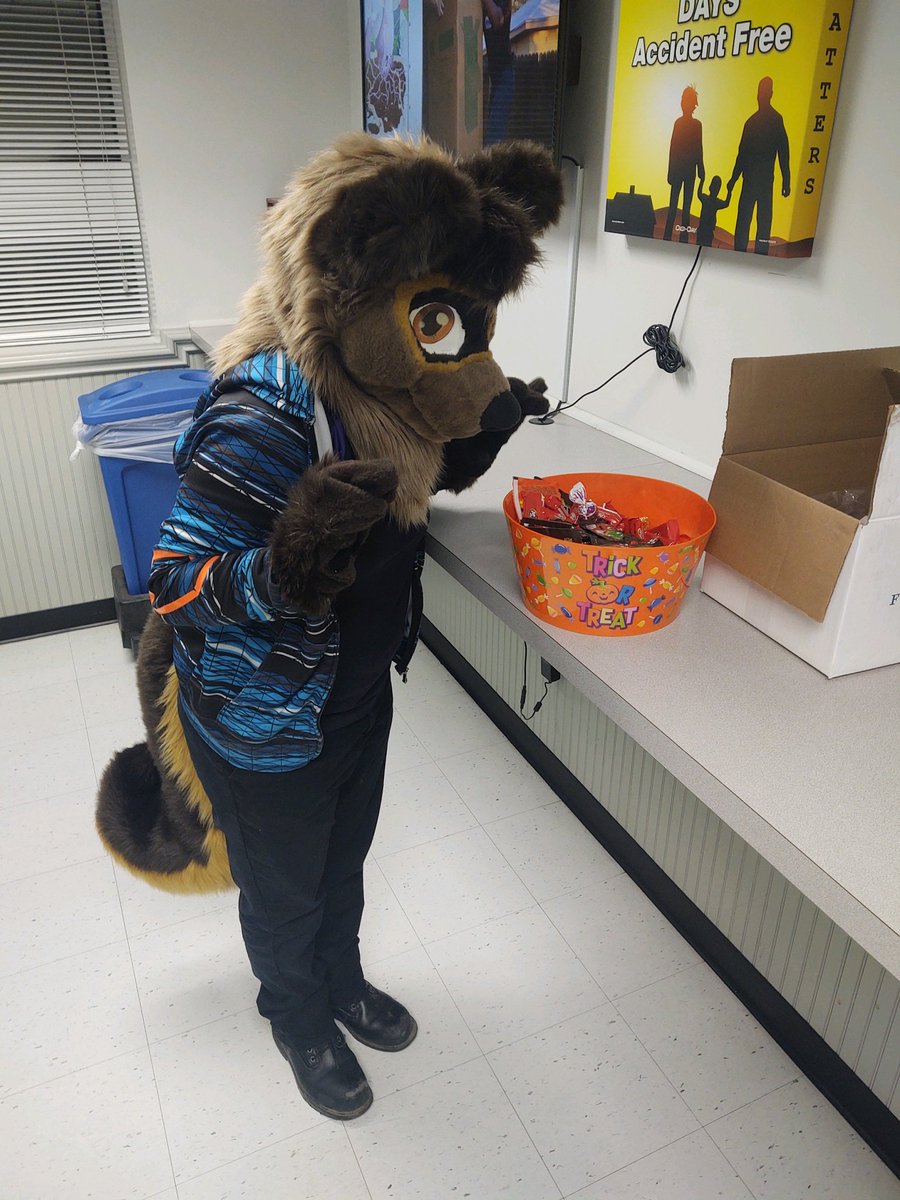 CCoywolf's tweet photo. Got to go out to work today all dressed up hehe I love Halloween! 

#furry #fursuit #fursona #coyote #wolf #hybrid #coywolf #halloween #candy https://t.co/H9hwf0GDcN