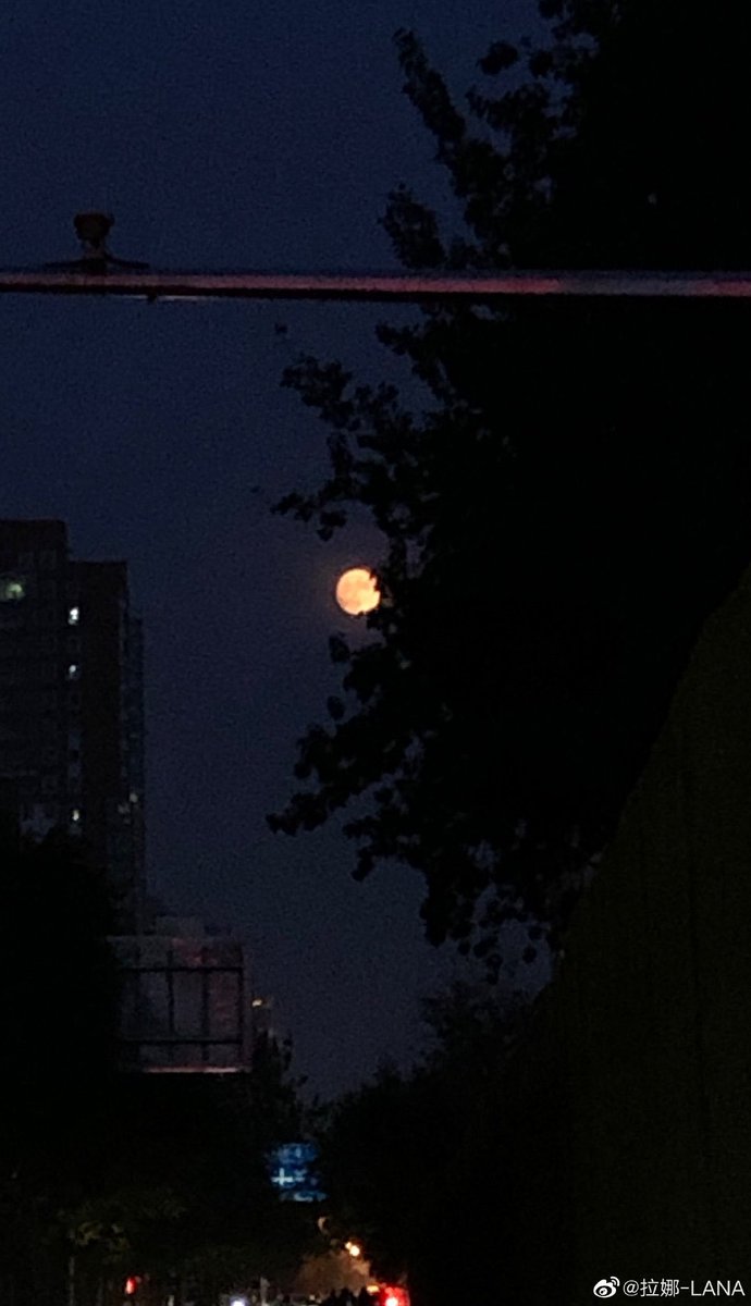 LANA_updates1's tweet photo. 10.31.20 • Weibo • (拉娜-LANA)
(🌙🔮👻📿💕)
#HICC
#Talk_Talk
#拉娜 #лана
#LANA #라나
#LUMINOUS
@Hicc_LANA
#LANA_TALKTALk https://t.co/cX4cpoQZ01