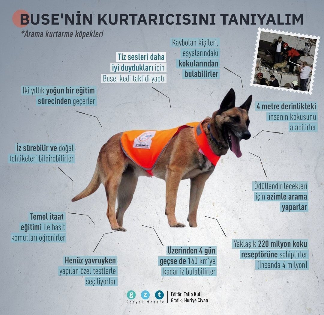 Köpekleri katlederken bir kere daha düşünün. Minnettarız... #Yanındayızİzmir