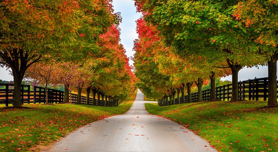 CrownReloNZ's tweet image. Looking for the 'perfect' small towns in America?
We have a list of some of the prettiest towns to help you get started! 

Click to read our blog 'The Best Towns to Live in the USA': ow.ly/lCSd30rf0yV

#movingblog #USA #smalltownUSA #movingservices #destinationUSA