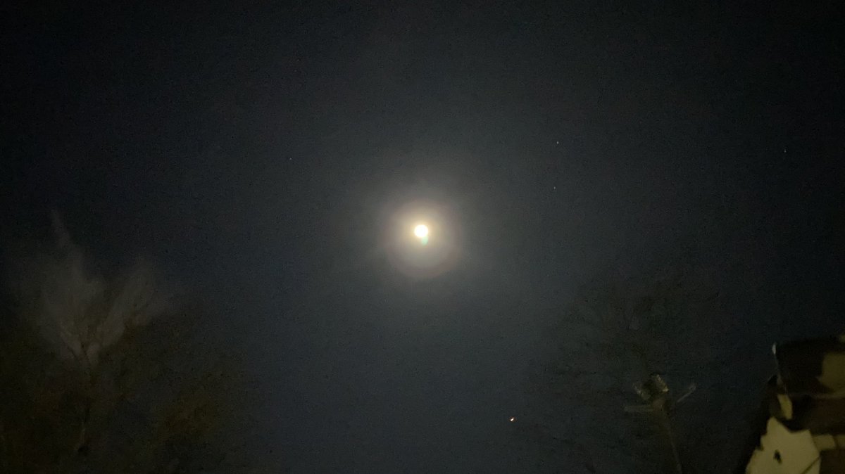 TheMexyWolf's tweet photo. #WerewolfMoon #Halloween2020  #fullmoon #TakenWithiPhone https://t.co/mzKYvYwhmq