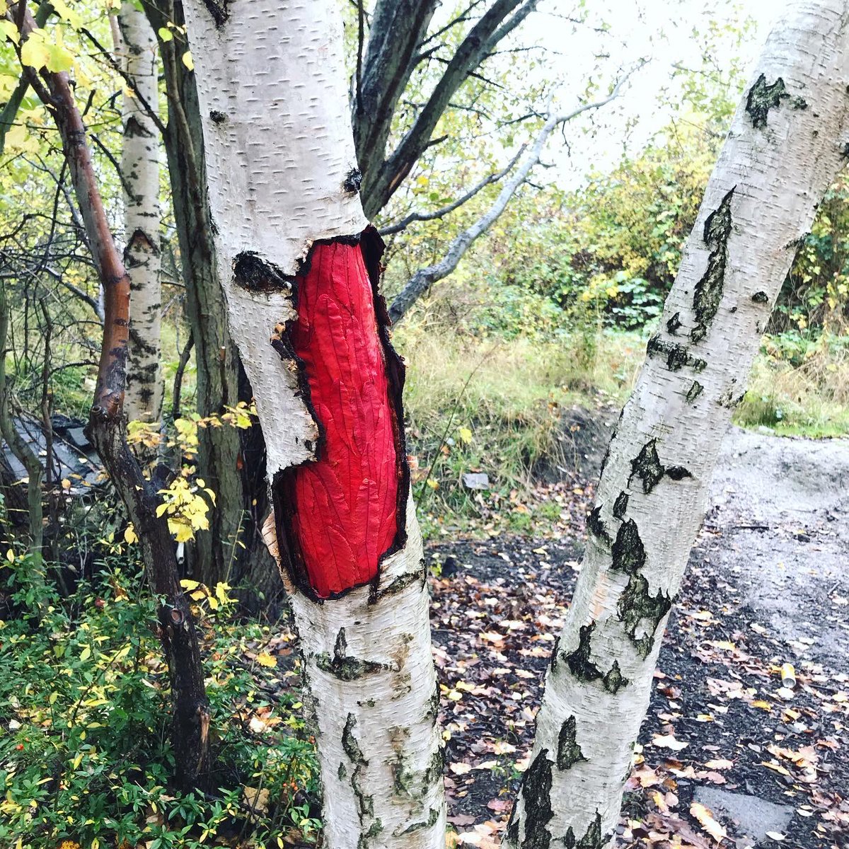 Frédéric Dilé tweet media