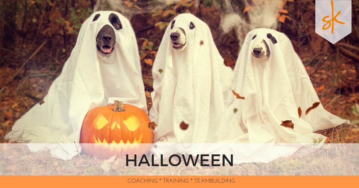 Het wordt weer griezelen met Halloween vanavond!  Hoewel het natuurlijk meer een Amerikaanse traditie is lopen ook steeds meer mensen hier warm voor deze griezelige dag. Ga jij iets doen met Halloween dit jaar? Persoonlijk houden wij wel van een goede #horror film met #Halloween