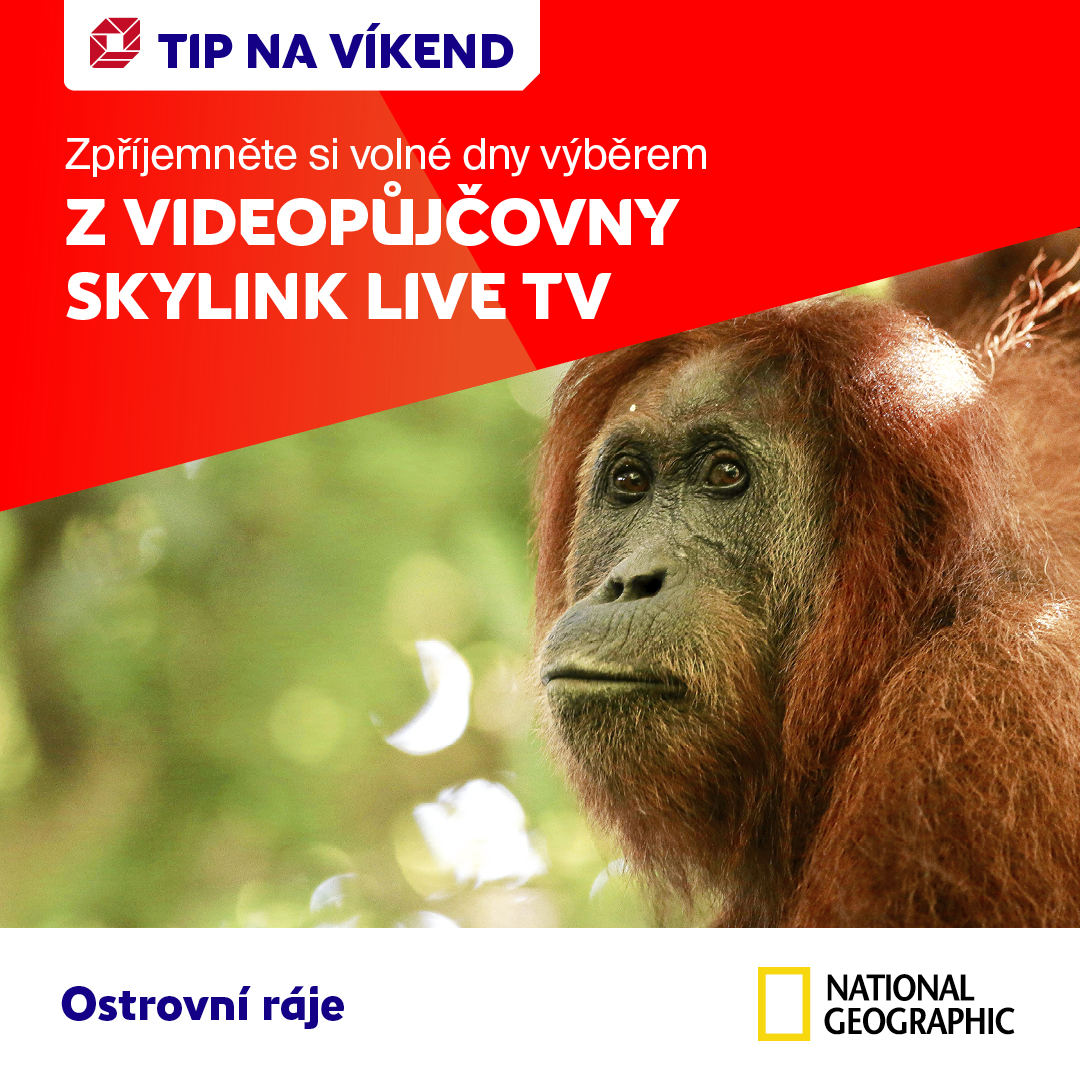 Indonésie, Malajsie a Nová Guinea mají bohatou přírodu. Proč je tomu tak?🏝🐒

Užijte si víkend v panenské přírodě a sledujte s námi příběh těchto ostrovů od jejich zrození v sekci @NationalGeographic.📲