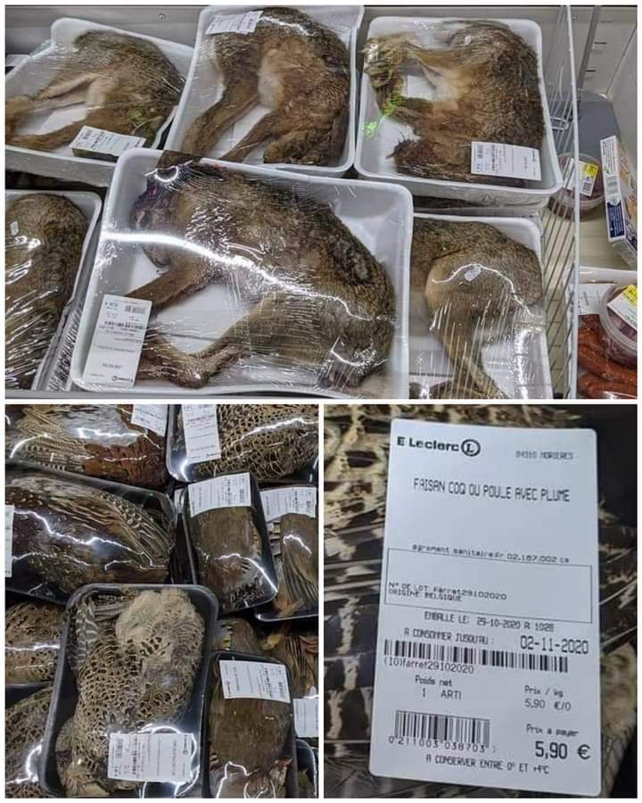 FBB_Officiel's tweet photo. #gerbant
À Morières-lès-Avignon, @LeclercBonPlan propose des lièvres, faisans et autres victimes de la #chasse sous cellophane. Est-ce que ce monde est sérieux @Leclerc_MEL ? L'intérêt, s'il y en a un, est de rappeler aux consommateurs que la viande ne pousse pas dans les arbres. https://t.co/ARw083gO9Y