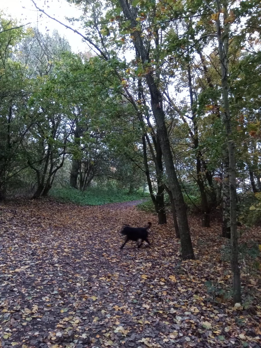 But blowy this morning 🌪️