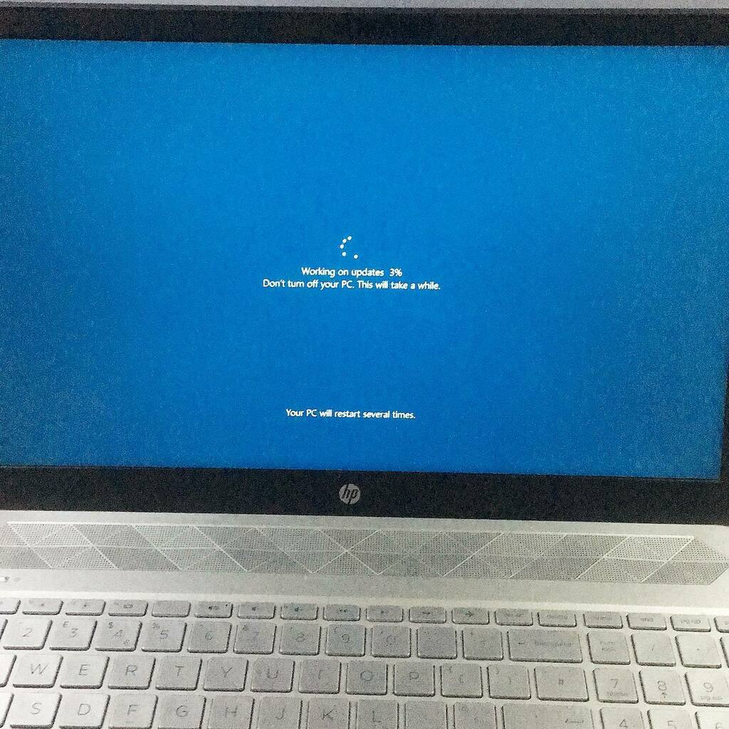 BearImp's tweet image. That instant regret of turning the laptop on to do something really quickly before heading out! 😭 instagr.am/p/CHACt7NB9pz/