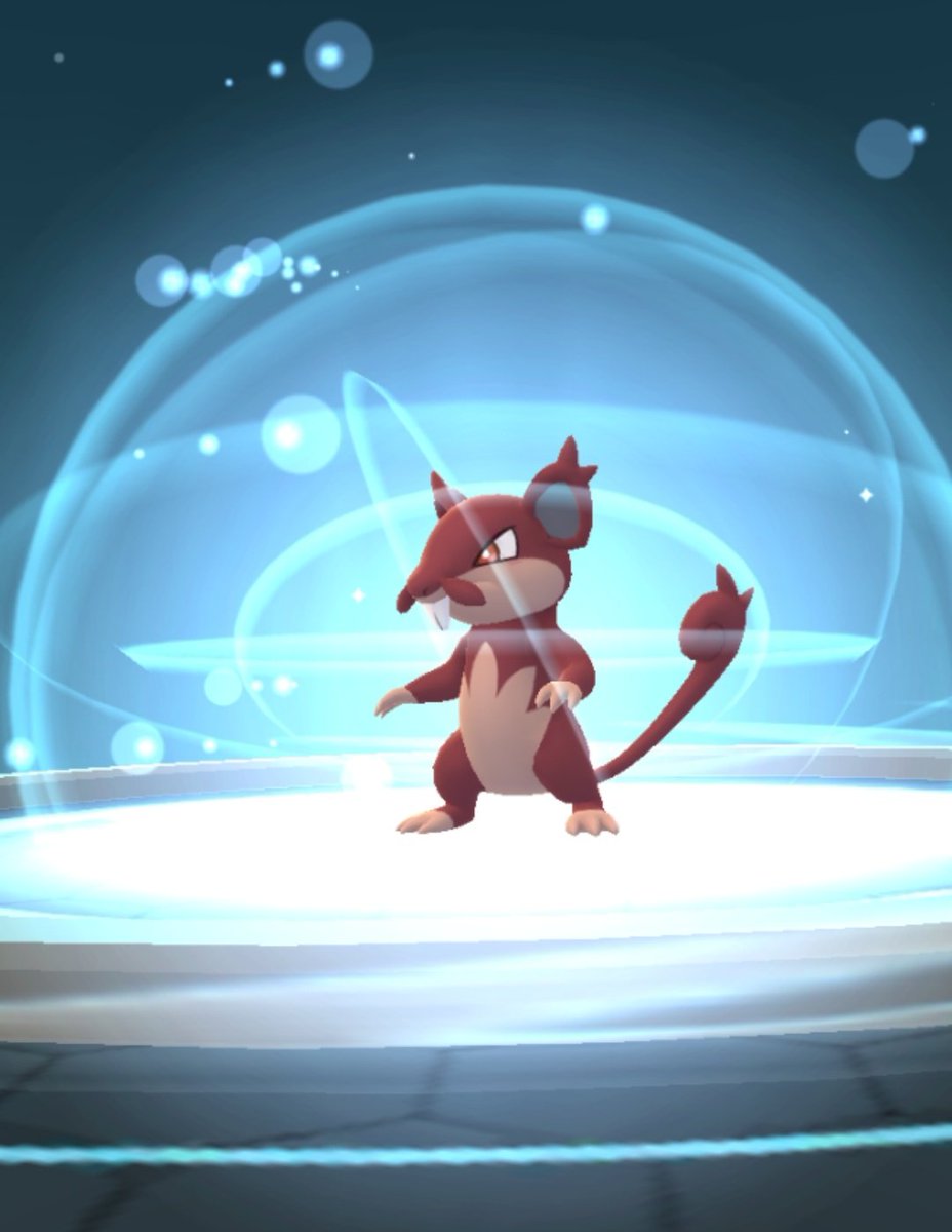 アローラコラッタ色違い