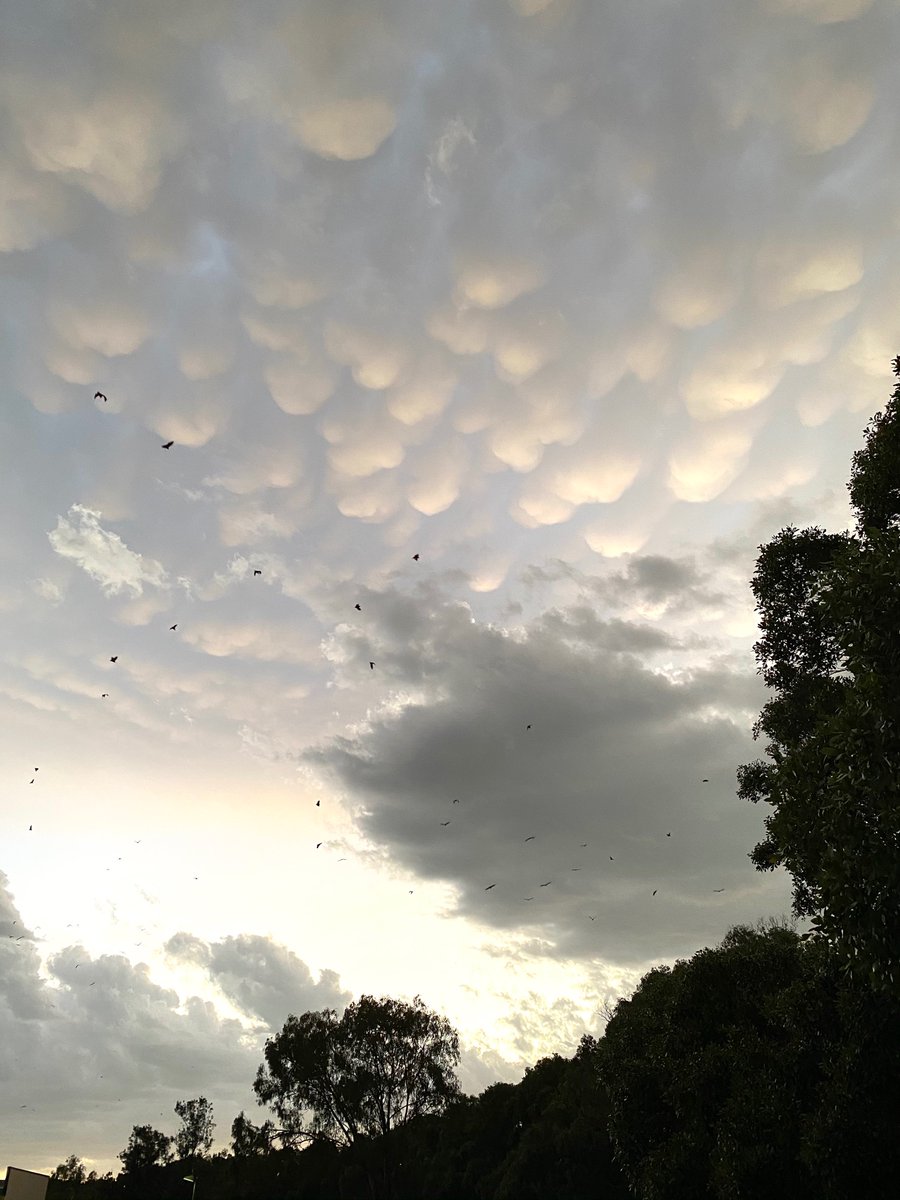 Michael Devlin tweet media