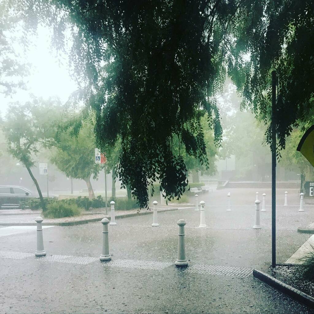 writingquietly's tweet photo. Saturday arvo hailstorm downpour then home to watch a few more episodes of The Queen’s Gambit. Goddamn that’s a good show - these bollards look remarkably like pawns and I want to pay more chess now! Good to have some #downtime 🖤 ♟ 🖤 #quietwriting #s… https://t.co/EgTeZ81vNQ https://t.co/MKl2eOUlkU