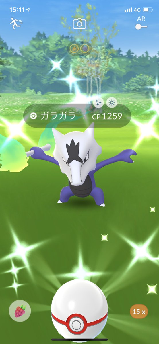 色違いアローラガラガラ 色違いアローラガラガラ