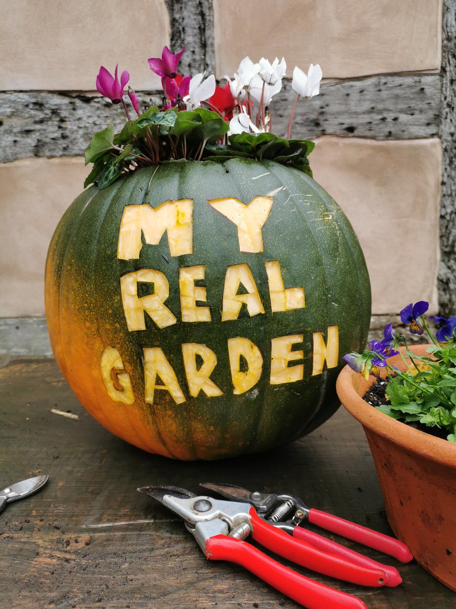 tamsinwesthorpe's tweet photo. It's such a miserable day so why not get your kids pumpkin carving? Here's my son's efforts - @myrealgarden community will love this. #HappyHalloween https://t.co/9ul8l1RyKU