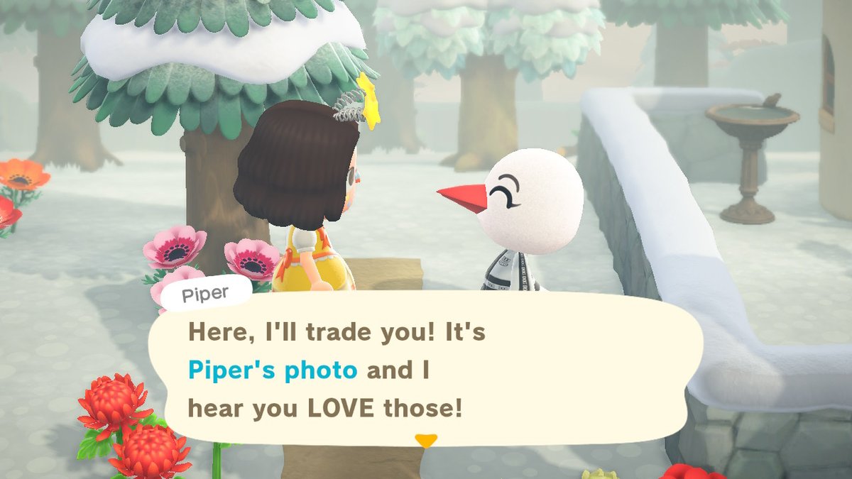 cross_froggie's tweet photo. photos <3
#piperACNH #marshalACNH #gooseACNH #AnimalCrossing #ACNH #NintendoSwitch https://t.co/IQmHXJjJ3E