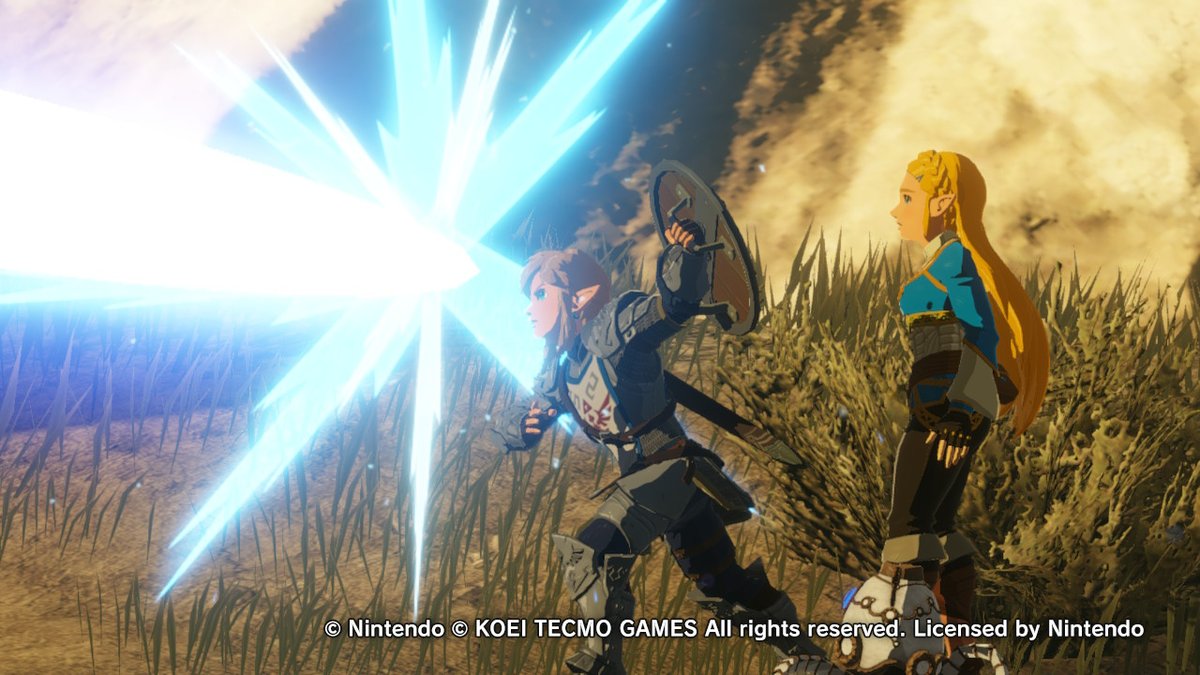 Adrigaus's tweet photo. #hyruleWarriors #NintendoSwitch https://t.co/Xrbj2UDiBi