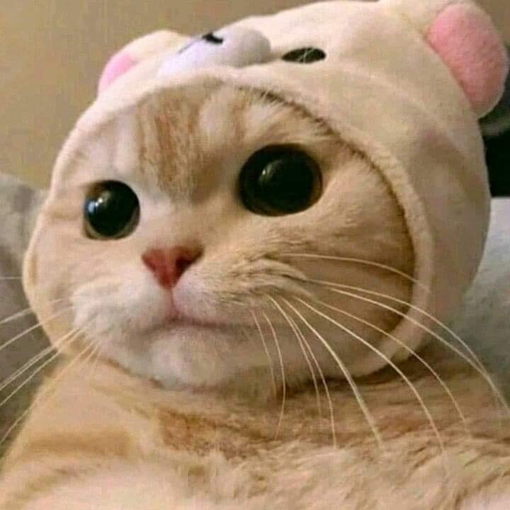 ❕