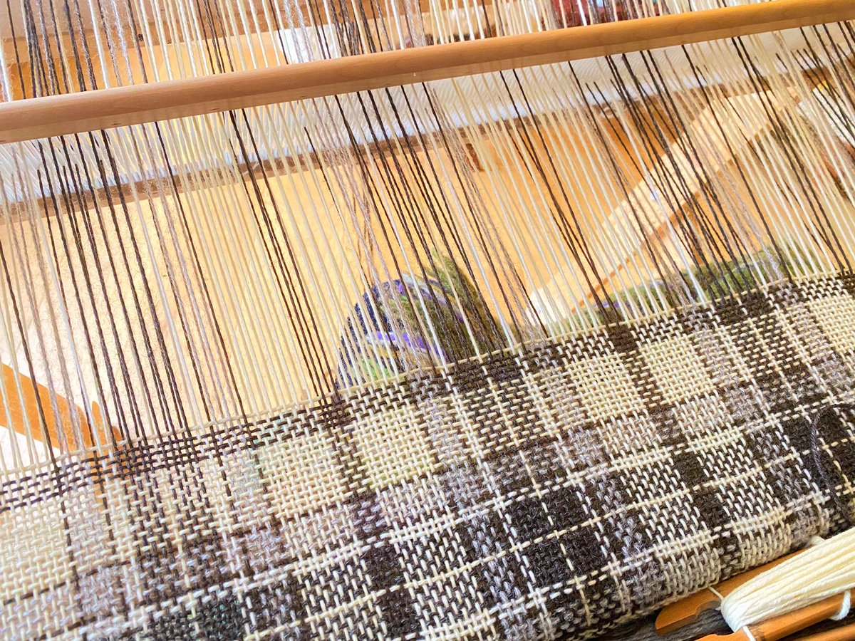 My morning view. Hand-weaving never ceases to be something I enjoy, no matter how many times I weave a pattern.

justwooltextiles.co.uk

#britishwool #naturalfibres #choosewool #handwovenfabric #madeinuk #naturalinteriors #slowfashionmovement