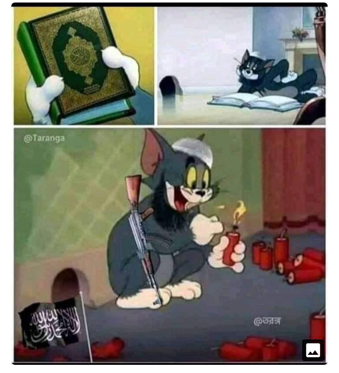 Том и Джерри том