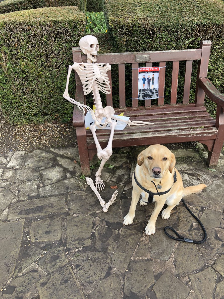 PinkNJ's tweet image. Peggy woofed Happy Halloween 🎃