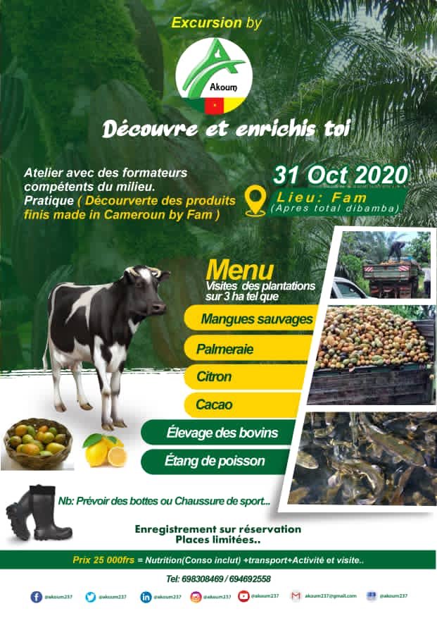 CassijeEyaane's tweet photo. I’m going ooohhhhhh .... #life
Je prends mon sandwich 🥪 pour des forces ... #excursion #leswehsfortsdupays #leswehsfortsducameroun #akoum https://t.co/s081IXNLyy