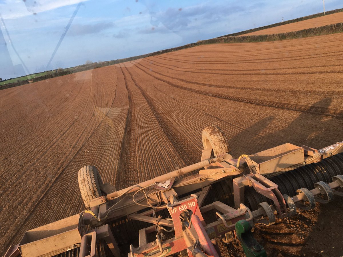 With all this rain ; questioning myself whether it was the right thing to roll after drilling 🤔