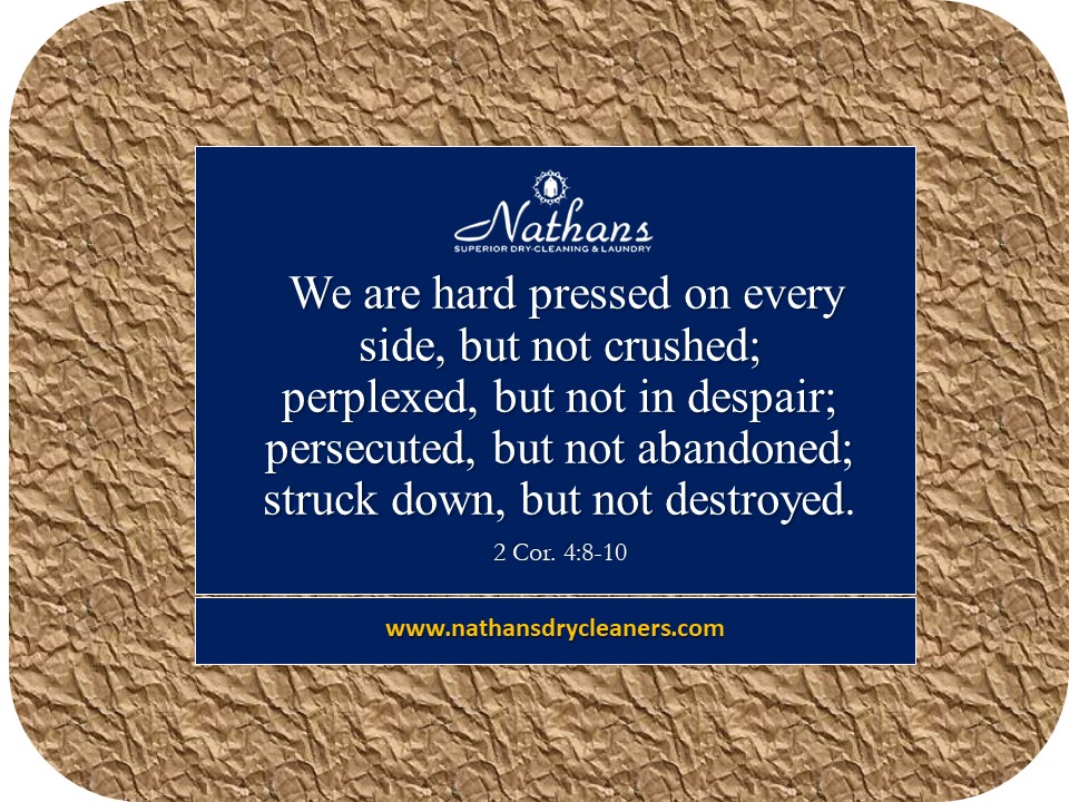 Nathansdryclean's tweet photo. https://t.co/mhHUmm3N0Z