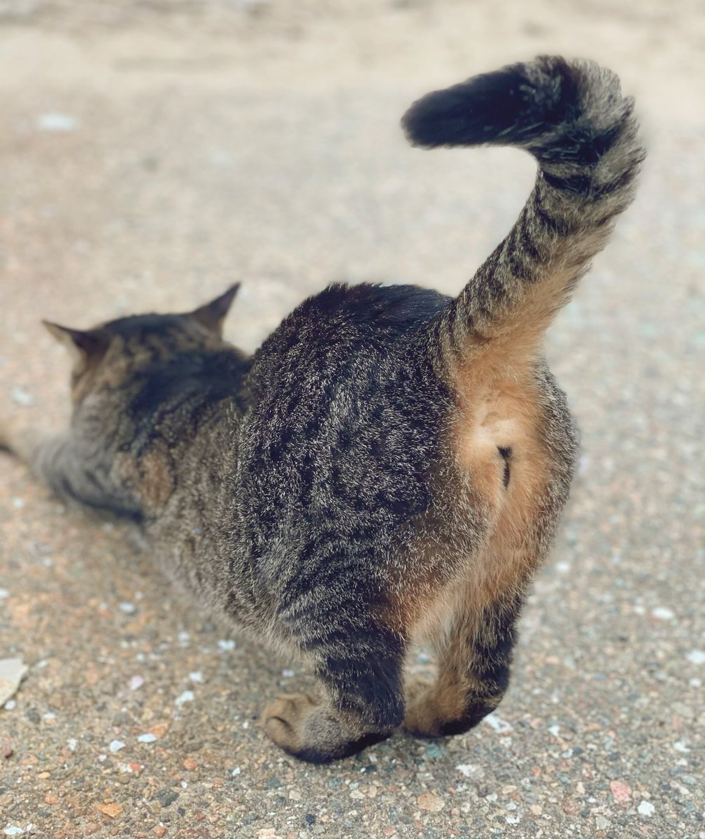 この日はカメラを持ってなかったのですが、、この仕草に我慢できず、スマホで☺️