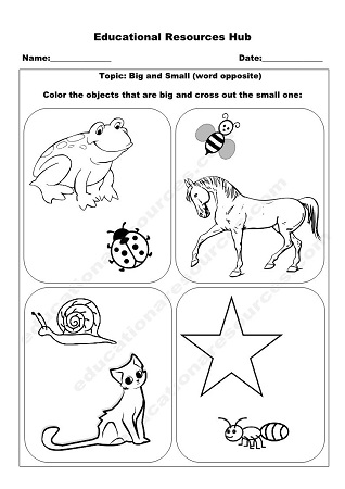 English worksheets: Big and Small