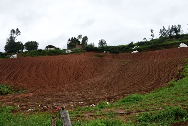 The Friends of H.O.P.E tweet media