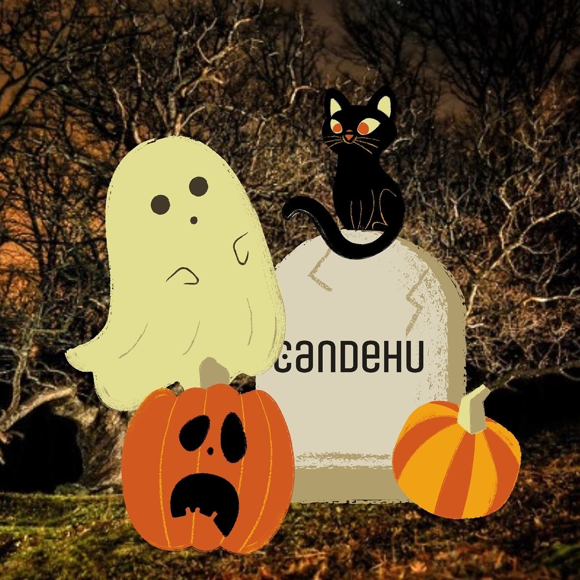 -Esto es lo más cerca que vais a vernos de la muerte!!  🧟‍♂️🧟‍♀️⚰️ Estamos más vivos que nunca!!!☠️ Pasad una noche de miedo y os deseamos feliz jagu🎃 jugue….👻 Janugg…🦇 Juayoguín!!!🧛🏻‍♂️

#hallowen #management #felizhallowen #terror #miedo #díadetodoslossantos #noviembre