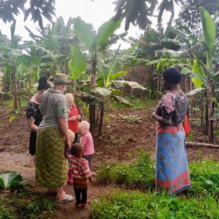 Asociación Tabaiba tweet media