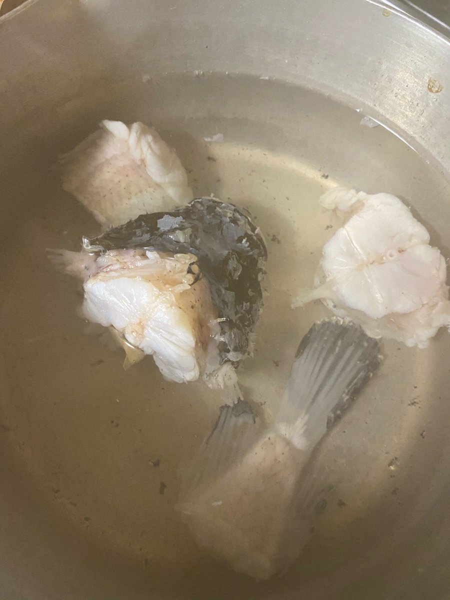 へそ オコゼとホンシメジのお吸い物 臭みの無い透き通った味 うまし