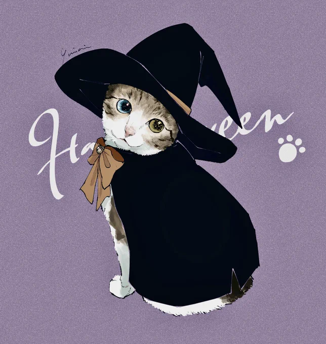 ニアちゃん 