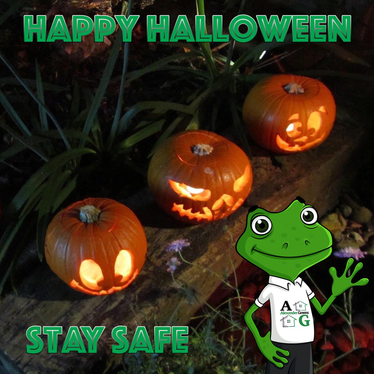 alexandergreens's tweet photo. Happy Halloween! #alexthefrog #cambridge #lettings #lettingagent #halloween #pumpkin #hmobest #tenants #landlords #property #propertymanagement https://t.co/K1oc3nurVK