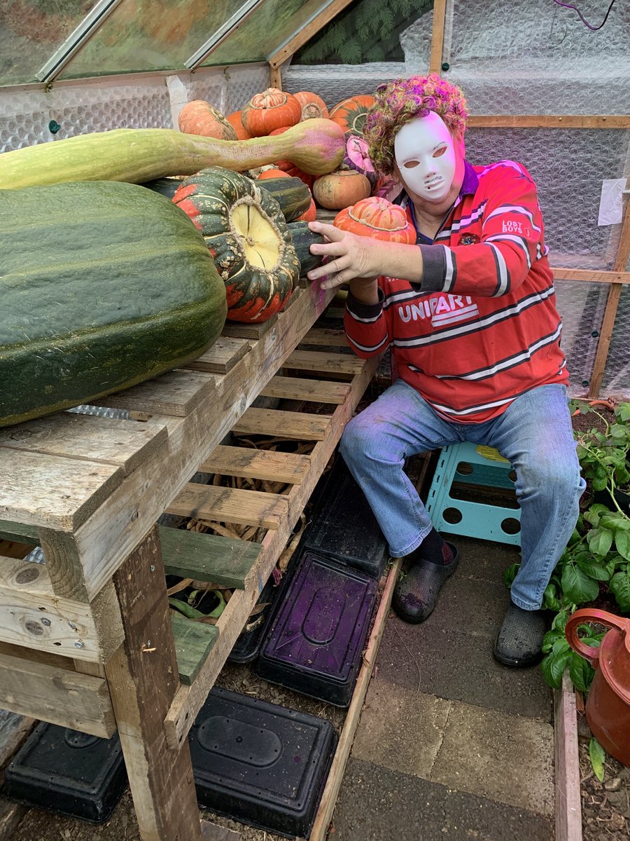 geraldstratfor3's tweet photo. A lost boy tending his pumpkins for Halloween spooky cheers https://t.co/I8hO3g2Y8q