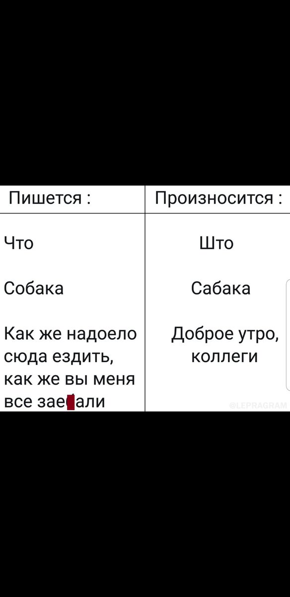 Nazafucker's tweet photo. @Apple_SIR Коллега прислала сегодня (100% me) https://t.co/T4gvtiHToI