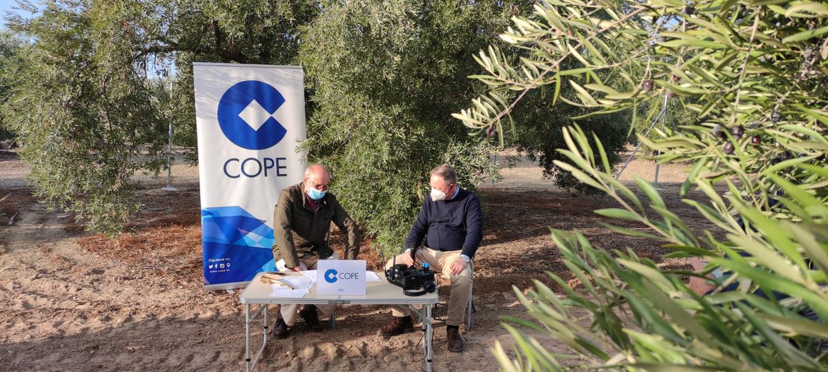 Castillo de Canena tweet media