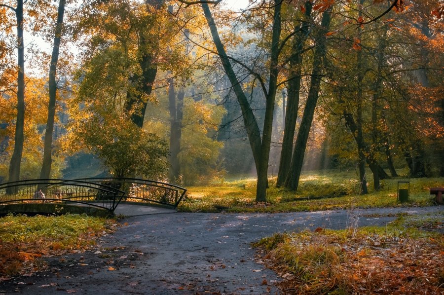 One WonUp Win #scenery wonup cash #photocontest by Владимир Матва votoart.com/challenge.php?… <a href="/votoart/">VotoArt Photography</a>