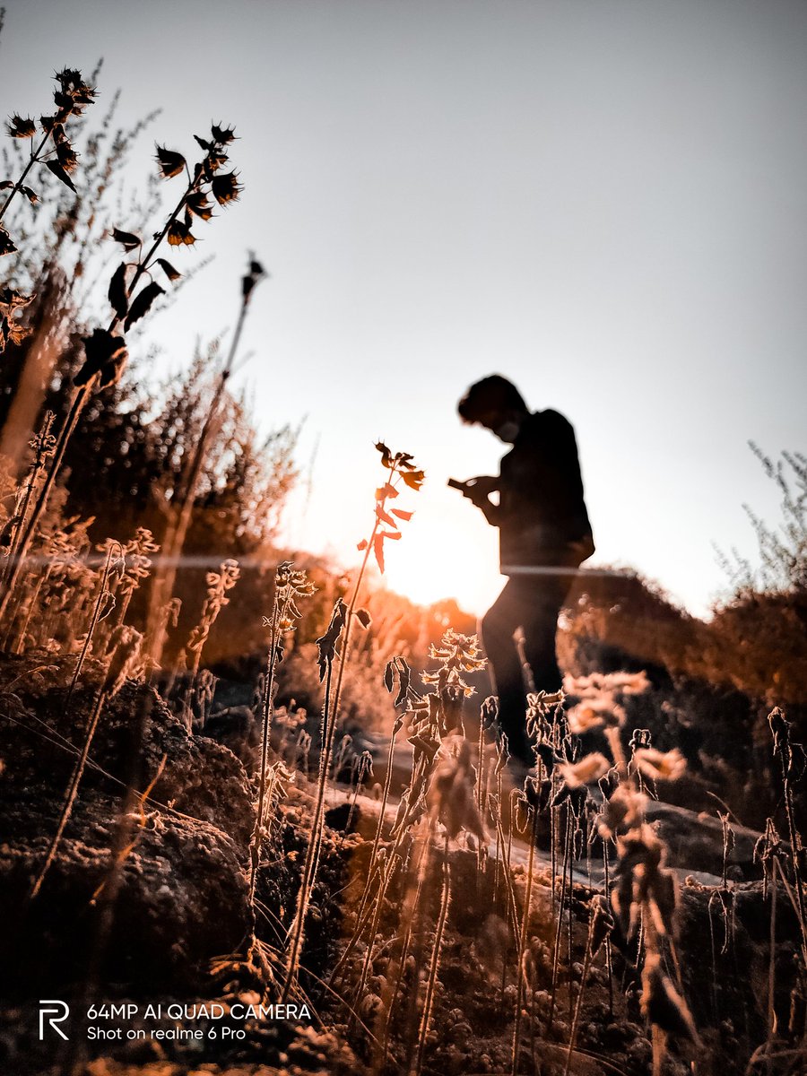 pixelsbyrishav's tweet image. Wandering! 

#shotonrealme #realme6pro @realmecareIN @realmemobiles @MadhavSheth1 @NeonVikash @FrancisRealme