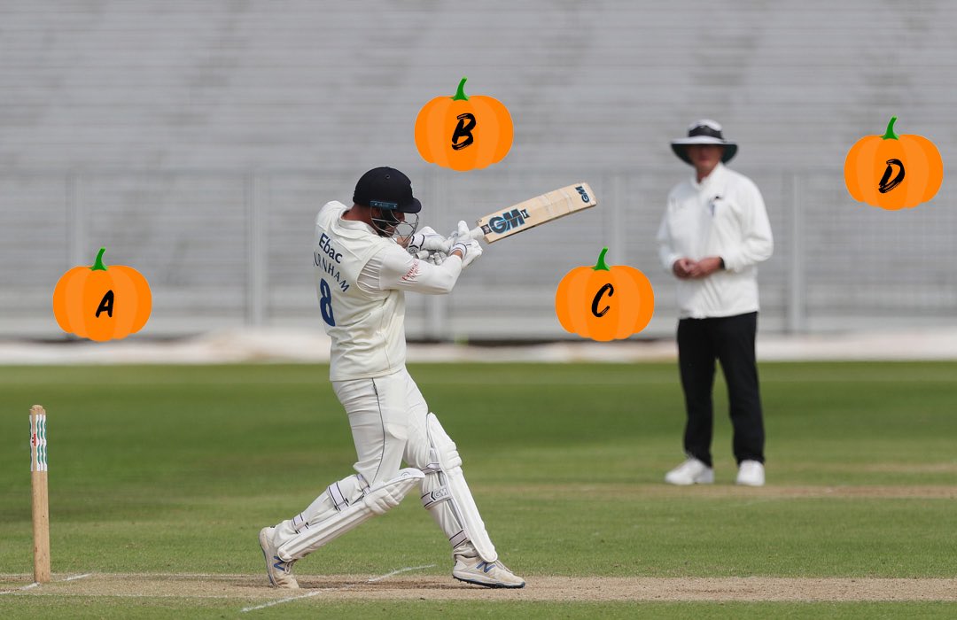 Durham Cricket tweet media