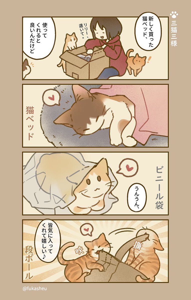 好みは猫それぞれ。
#猫漫画 #リミル猫日課 