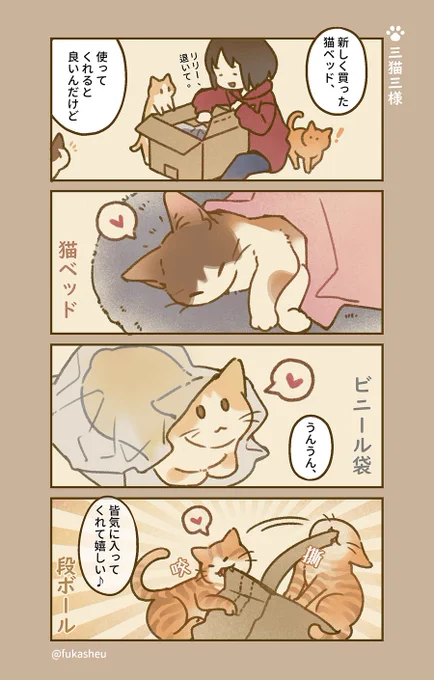 好みは猫それぞれ。#猫漫画 #リミル猫日課 