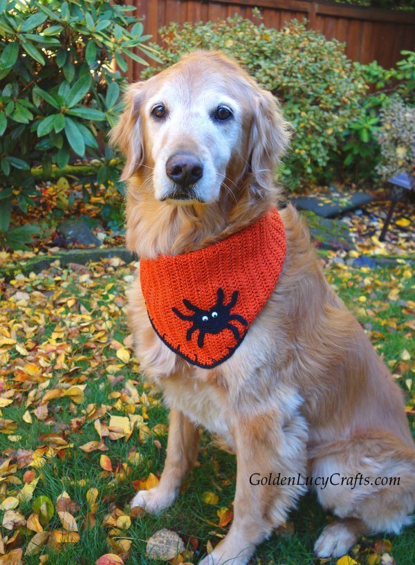 Remember not all pets enjoy being dressed-up &amp; they can swallow/choke on buttons. Make sure movement/vision/breathing unrestricted. Look for signs of stress/discomfort &amp; remove costumes ASAP if concerned. Consider safer alternatives like bandanas or bow ties. #HalloweenPetDangers
