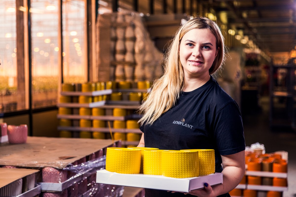 Levoplant tweet media