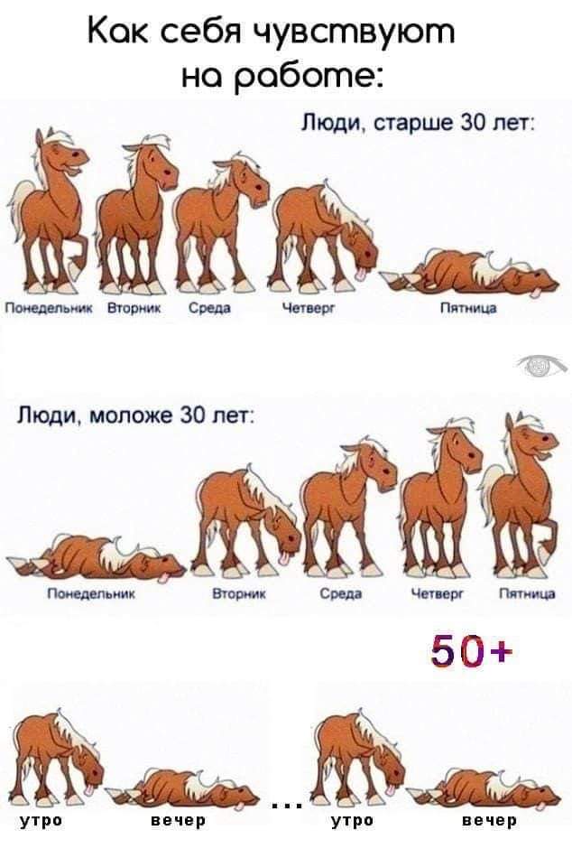 baxxterh2's tweet photo. @zvirytko https://t.co/0Ey7mZPVgN