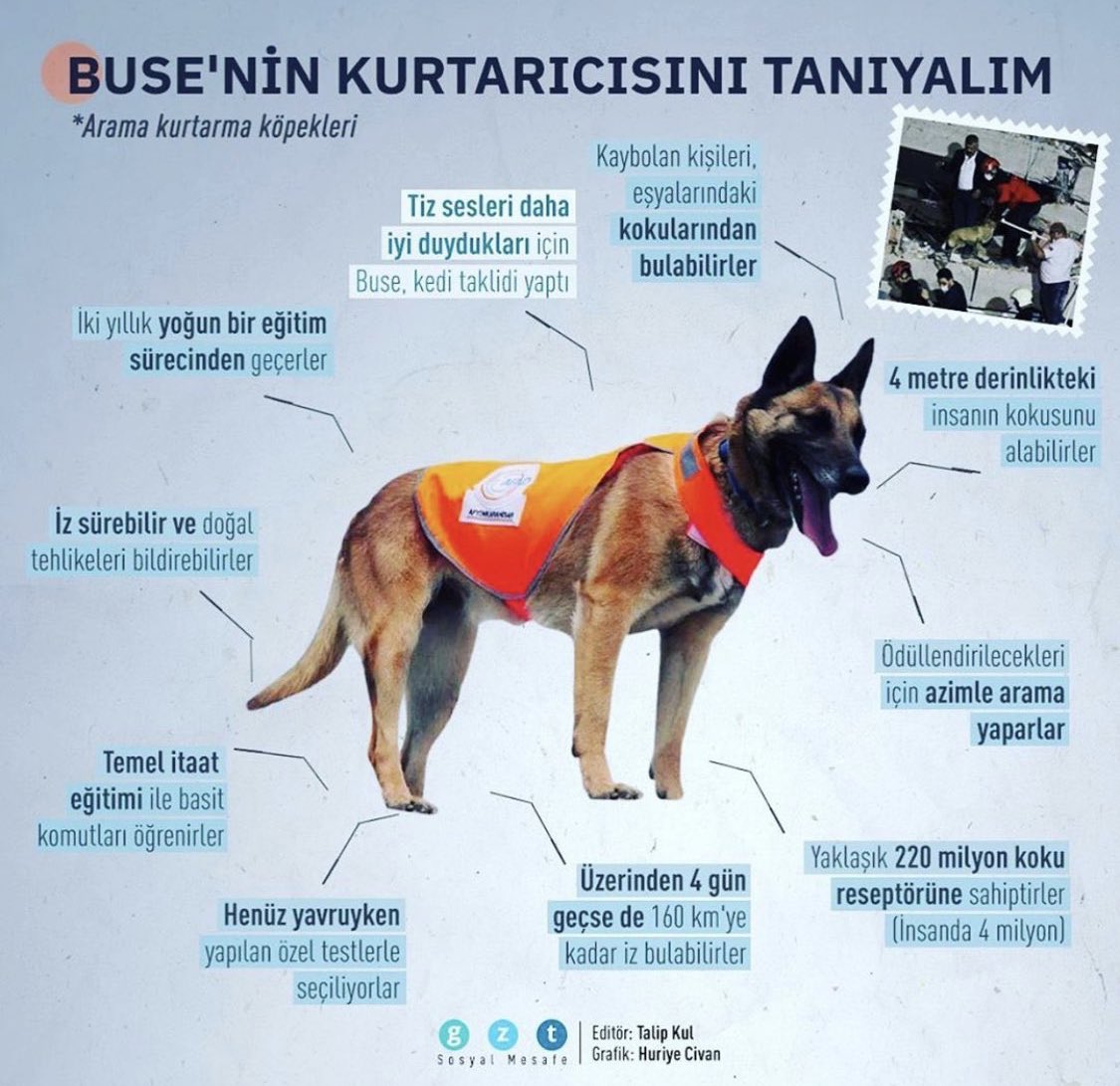 Bir kahramanın anatomisi.