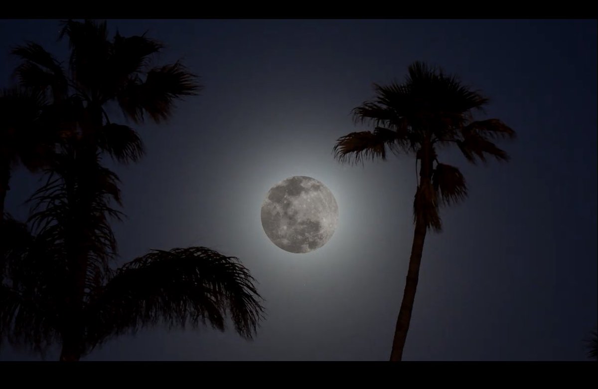 ChatProgressive's tweet image. Full moon over Miami 10/31/20