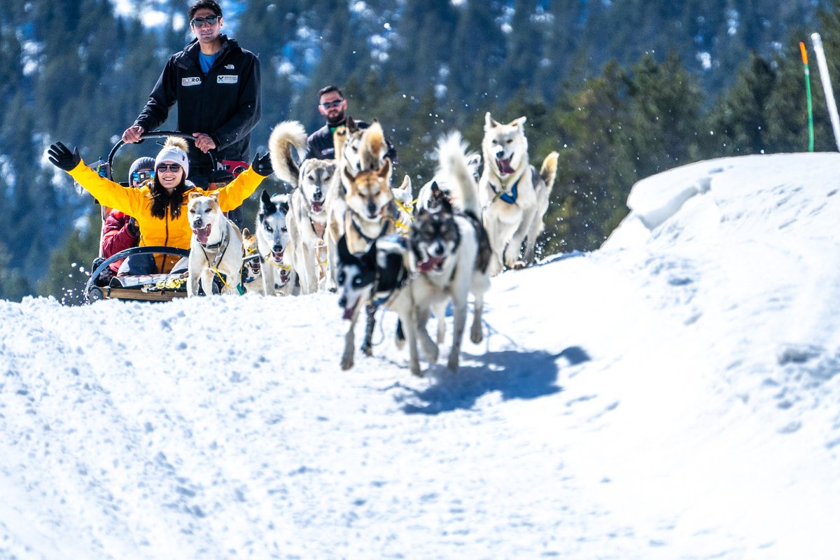 RocRoiAdventure's tweet photo. ¡Qué ganas de volver a sentir esta sensación! 🤩
Nieve + aire puro + mushing = ¡adrenalina! 🤘
Del 1 al 10, ¿cuánto lo deseas tú?
#mushing #musher #andorra #grandvalira #andorraworld #grauroig #aventura #actividadesnieve #snowlovers #snowvolution #esportsneu https://t.co/daWvy8CvLE