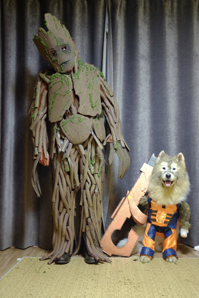 2014: groot and rocket